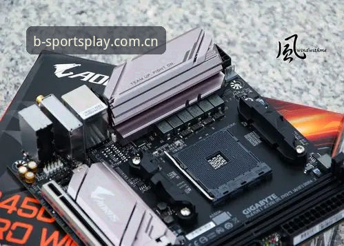 bspoets行业领先 新手必看:B体育平台使用心得,bspoets行业领先体验全解析
